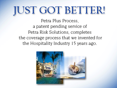 petra risk solutions